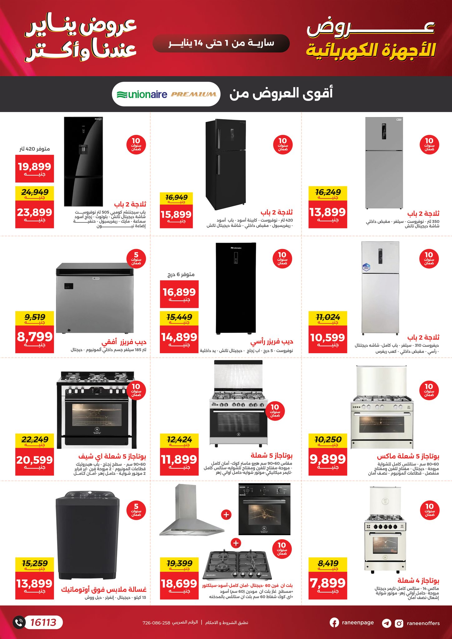 عروض رنين صفحة رقم 53